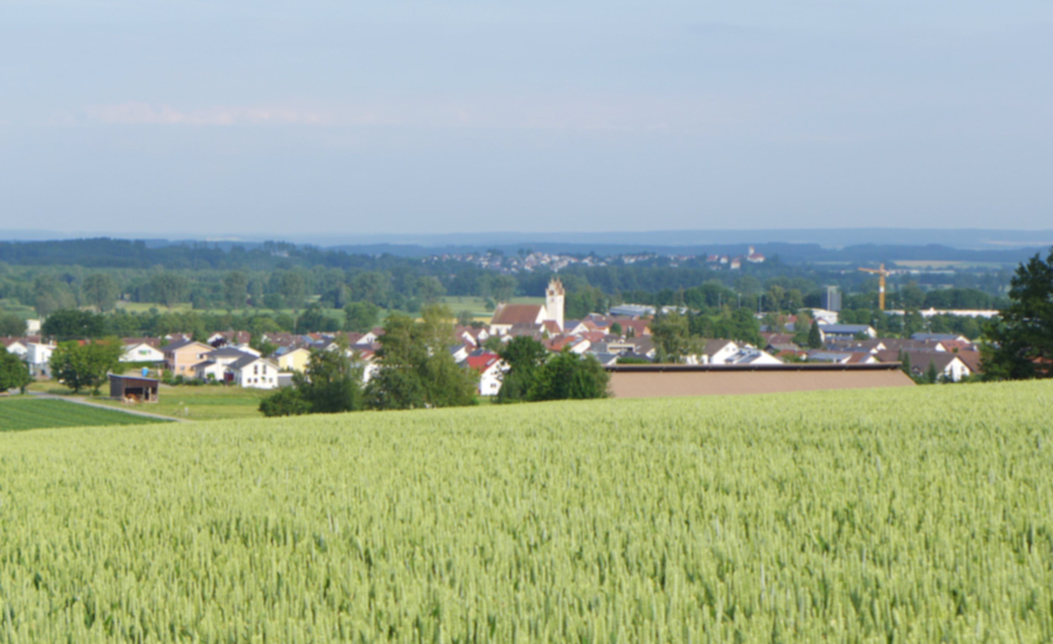 Hintergrundbild der Gemeinde Mietingen