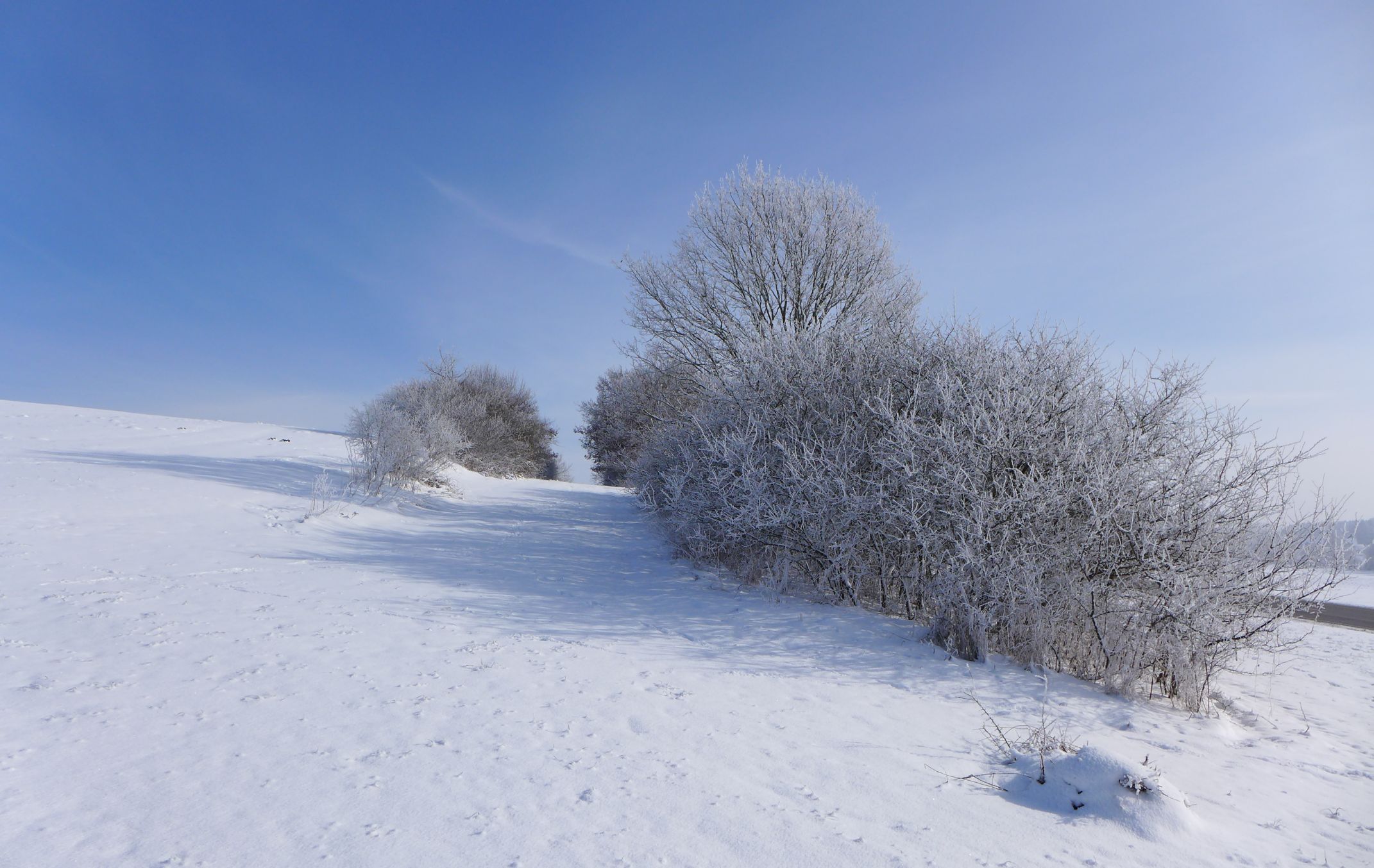 Hintergrundbild der Gemeinde Mietingen